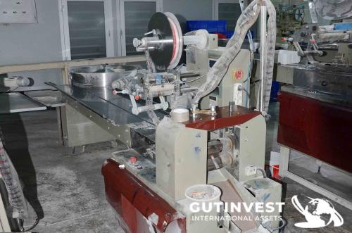 Horizontal Packing Machine - For candy packing.