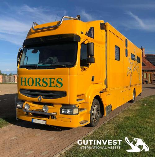 Horsebox truck